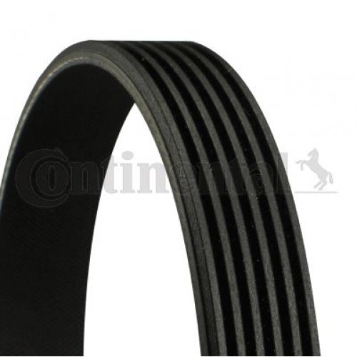Keilrippenriemen Continental Ctam 6PK1105 FüR Fiat Marea-image