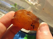 Natural Baltic amber 16 g yolk yellow big stone 琥珀 craft Butterscotch gemstone