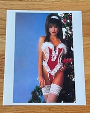 BRANDI BRANDT X-MAS PHOTO 8X10 AUTOGRAPHED