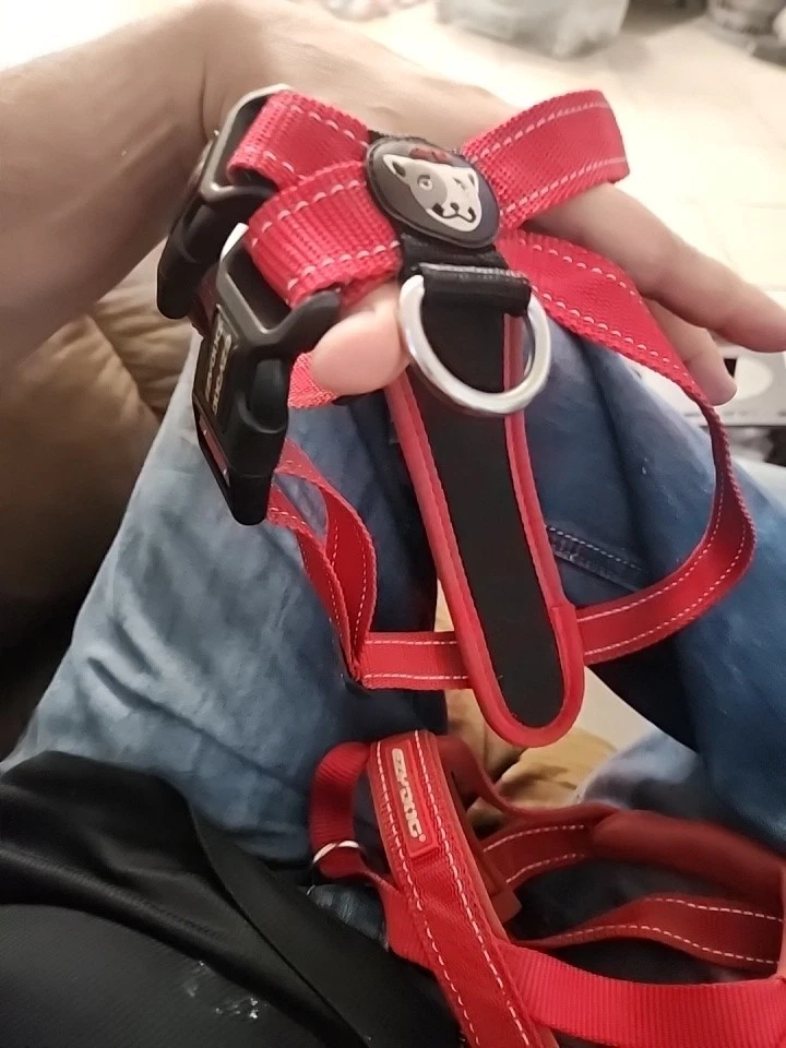 Arnés de placa de pecho EzyDog rojo y negro ajustable chaleco para perro arnés usado  Foto 2 de 2