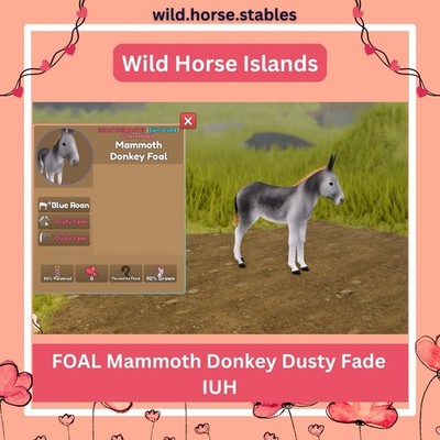 Island Unique Hair - FOAL Mammoth Donkey Dusty Fade IUH (Free FF pot Included)
