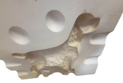 Jim Dandy Six-Piece 'Vintage Ceramic Slip Casting Mold Springer Spaniel R170A