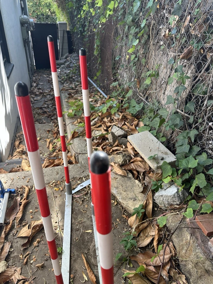 Waving Poles Dog - Image 4 of 4