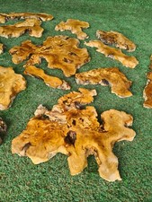 5 Kg / 11 Lbs Natural Burl Olive Wood Slices Set, Raw Edge Olive Wood Slabs