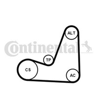 Continental Ctam Keilrippenriemensatz FüR Renault ScéNic Ii JM0/1_ Grand F/JP0_