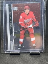 2020-21 Upper Deck #550 Troy Stecher Clear Cut