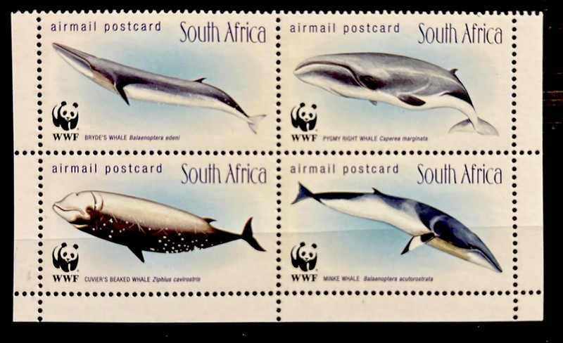 South Africa whales WWF S.C.#C27-30 MNH. Complete block of 4 as issued in 1998