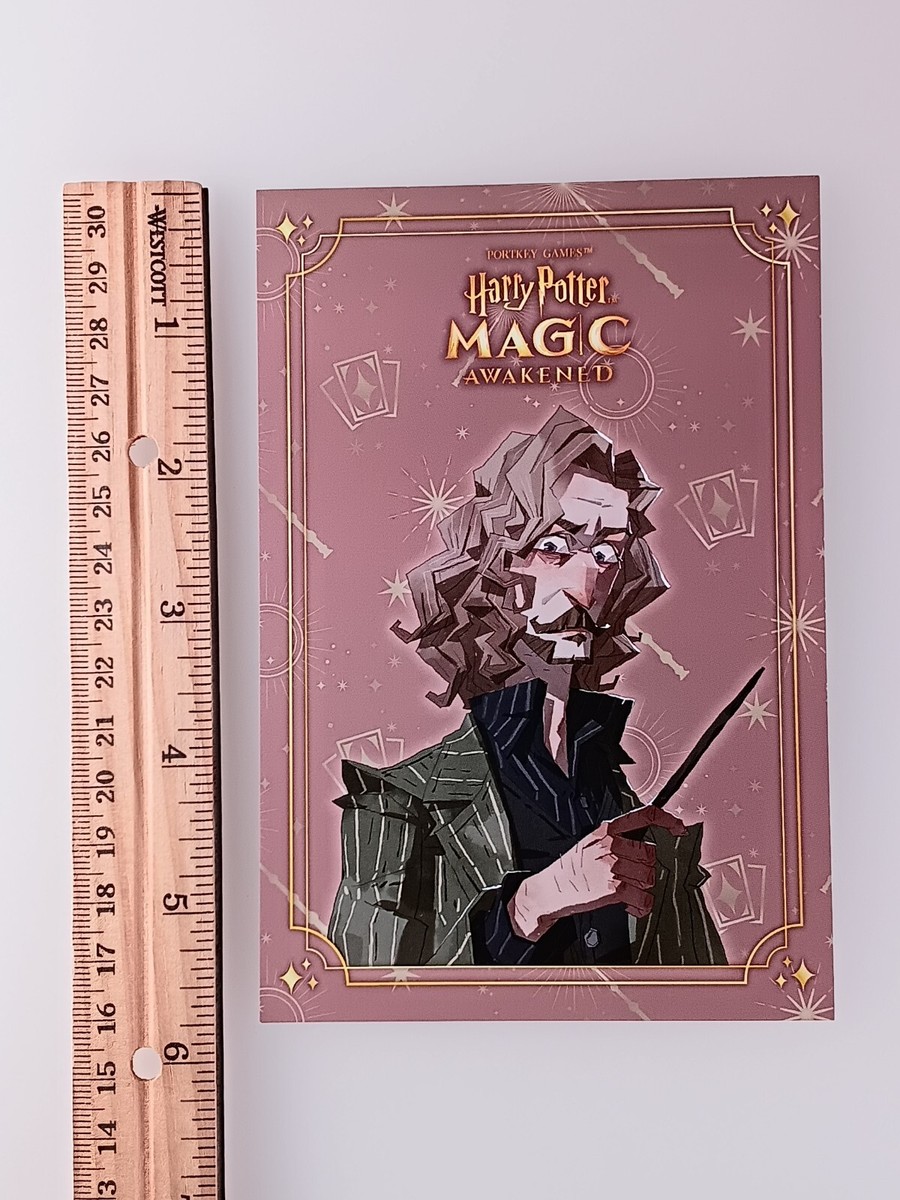 Sirius Black Harry Potter: Magic Awakened Postcard From Japan