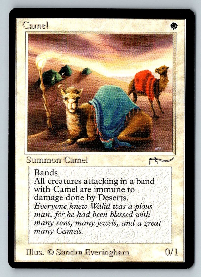 Camel MTG 1993 Arabian Nights Sandra Everingham White 93/94 WOTC NM