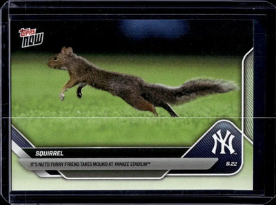 #ad 2025 Topps Now #596 Squirrel Base Card Quantity $9.99