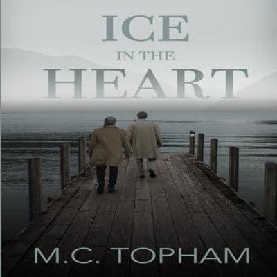 Ice in the Heart M. C. Topham Paperback Wonder Bound Stories L.L.