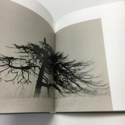 アート・デザイン・音楽 Masao Yamamoto Tori signed Masao