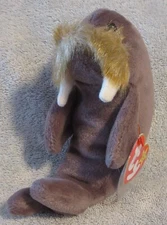 Ty Beanie Baby Jolly the Walrus DOB December 2, 1996 MWMT Free Shipping