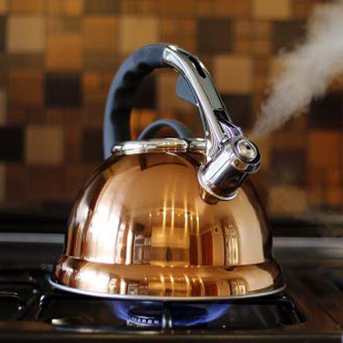 Litre Copper Stainless Steel Whistling Kettle Gas Electric