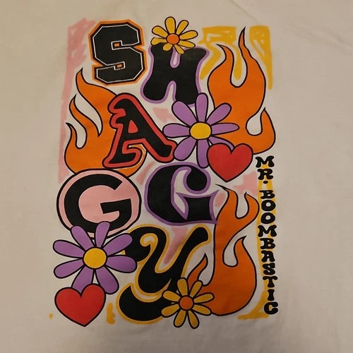 Shaggy Mr Boombastic T Shirt Mens XL Vintage 1996 Graphic Re 1990s vintage concert t-shirt, vintage, size XL, single stitch, B+ condition