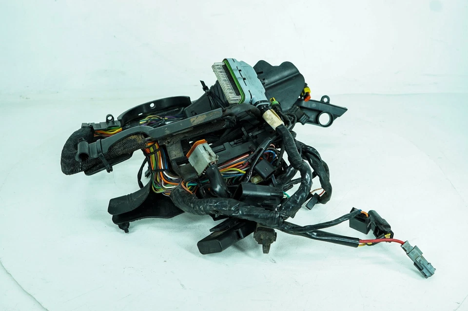 07 Harley Sportster Custom 883 Arnés de cable principal Telar Interruptor de encendido NOKey 1352 Foto 4 de 4