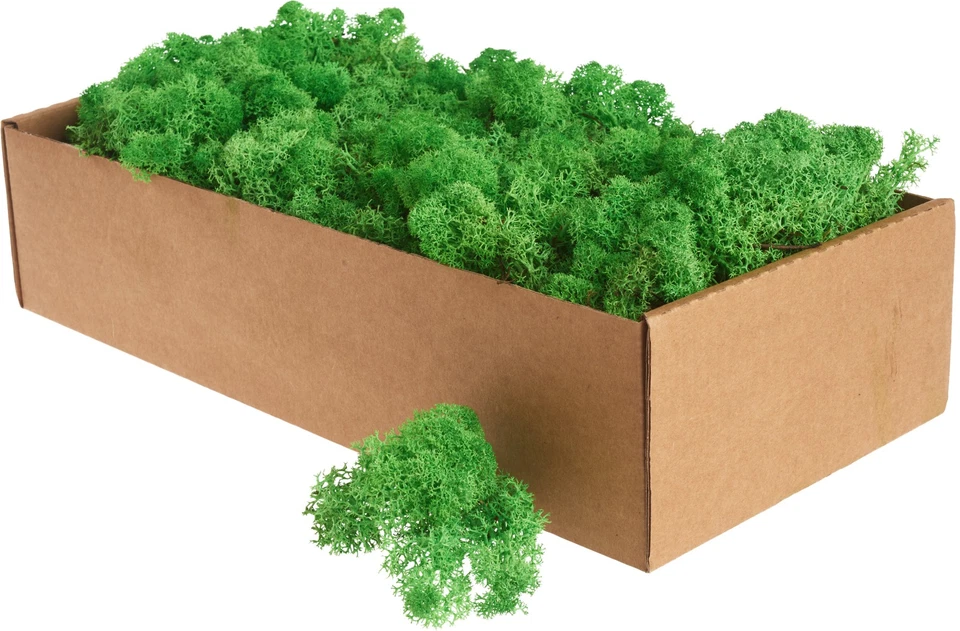 OTHMAR DECORATIONS Islandmoos