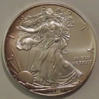 2011 1 Oz Silver American Eagle Bullion Coin (BU - Some Red Color Toning)