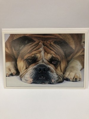 Vintage Expressions from Hallmark missing you Bulldog greeting card Sad Dog Face