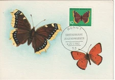 Maximum Card  Butterfly Germany 1962 FDC  10 pfg