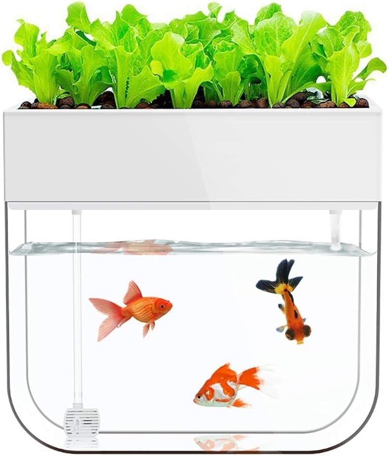 Aquaponic Seed Sprouter & Hydroponics System