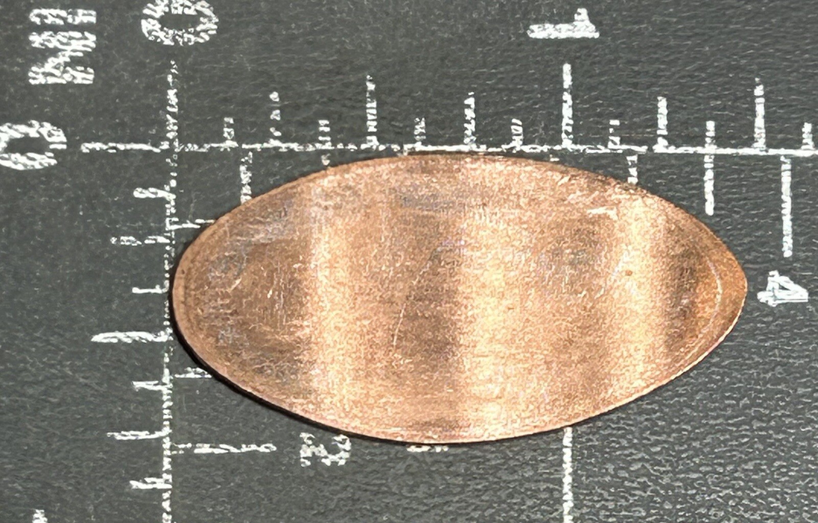 The Naturel Curiosity Musée Thanksgiving Point Utah Ut Allongée Pressé