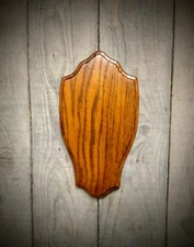  OAK WOOD EUROPEAN SKULL WHITE TAIL BUCK DEER SHED PANEL PLAQUE ANTLER TAXIDERMY