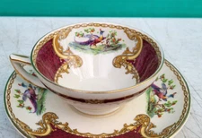 Myott Staffordshire Cup & Saucer Red CHELSEA BIRD England Antique c1901