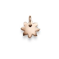 AnhäNger Sonne Aus 585 Gold Rotgold GoldanhäNger Halsschmuck GläNzend Flach