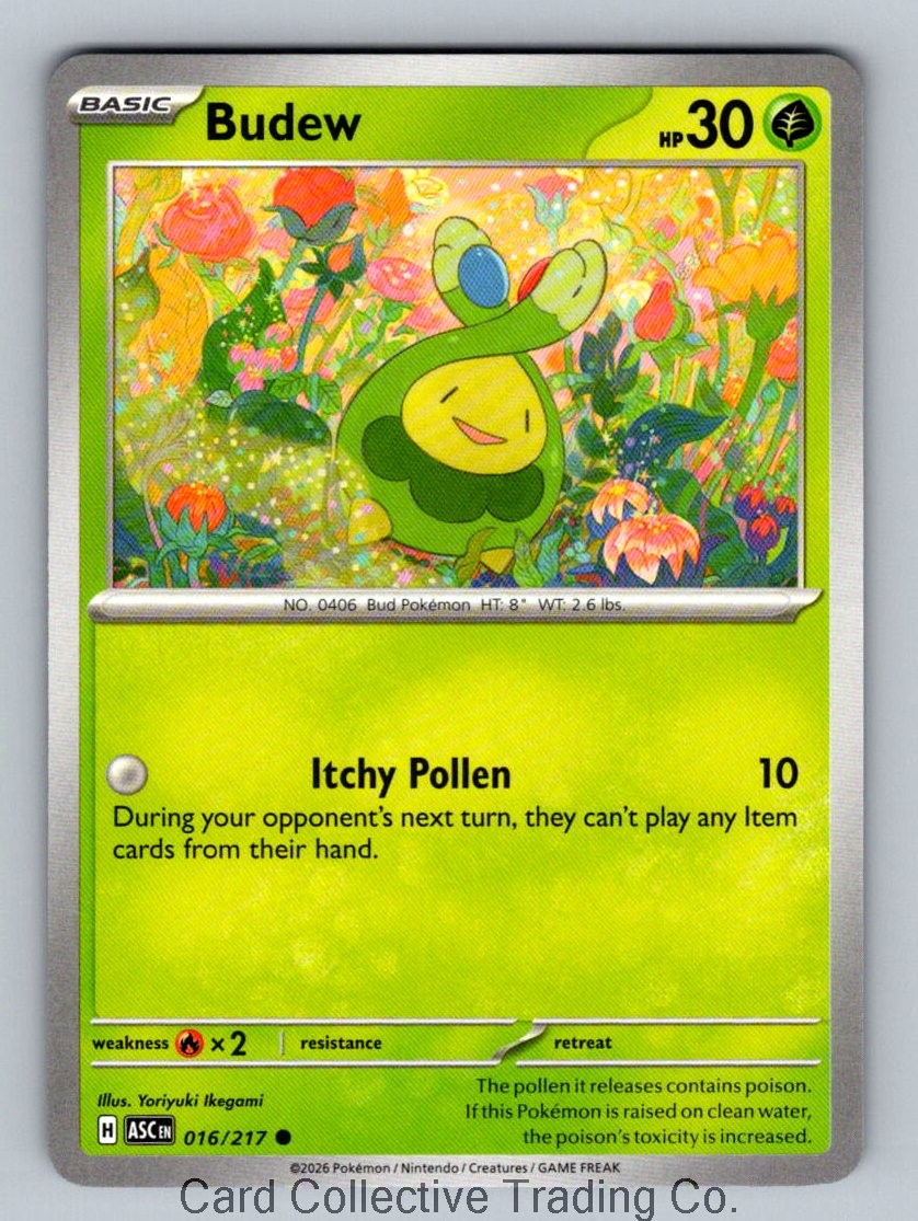 Budew Common ME: Ascended Heroes 016/217 NM Normal