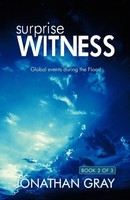 Jonathan Gray | The Surprise Witness | Taschenbuch | Englisch (2008)