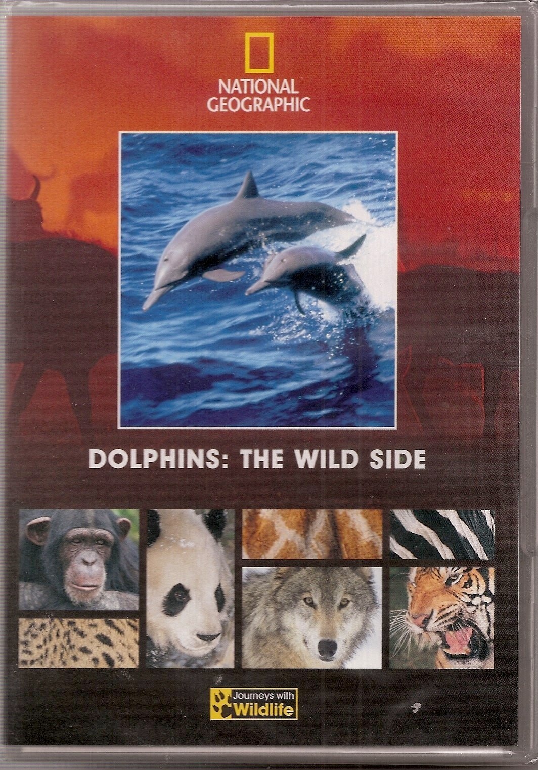 National Geographic - Dolphins: The Wild Side (DVD)