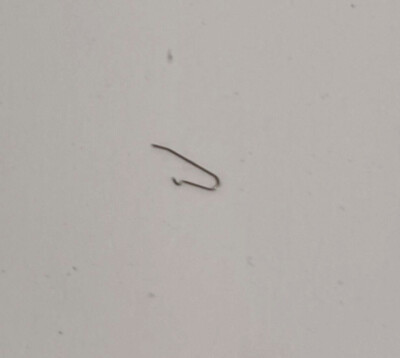 POLJOT CAL. 3133 FEDER FÜR DATUMSPERRE PART No. 2575  ~NOS~