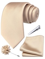 Champagne Satin Silk Tie Set for Men with Pocket Square, Clip Lapel Pin