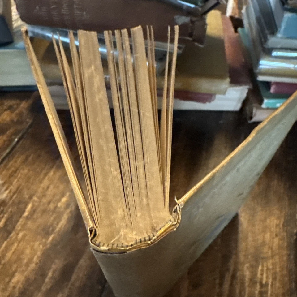 Antique 1890 Delicate Feasting by Theodore Child - Image 2 of 4