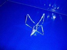 medium clear acrylic geode  display stand for rocks fossils shells flints etc 