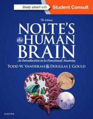 Nolte's The Human Brain: An Introduction to its Functional Anatomy, 7e - GOOD