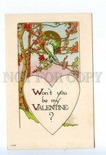 523893 Lovebirds Parrot MOON Vintage VALENTINE postcard Embossed