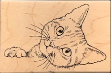 Stampendous Kitty Cat Feline Curious Rubber Stamp