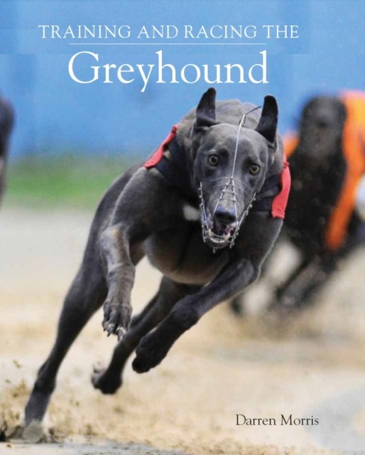 Training and Racing the Greyhound by Darren Morris (Paperback Book)
