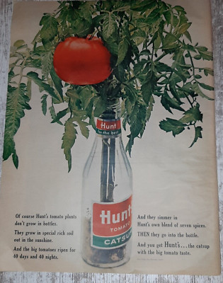 1963 Hunt's Vintage Print Ad Tomato Catsup Ripe Plant Bottle Leaves Ketchup