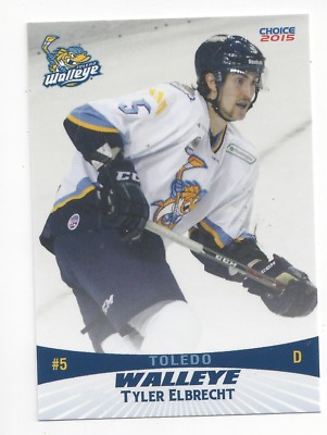 Tyler Barnes Worcester Railers Echl 2014 15 Toledo Walleye