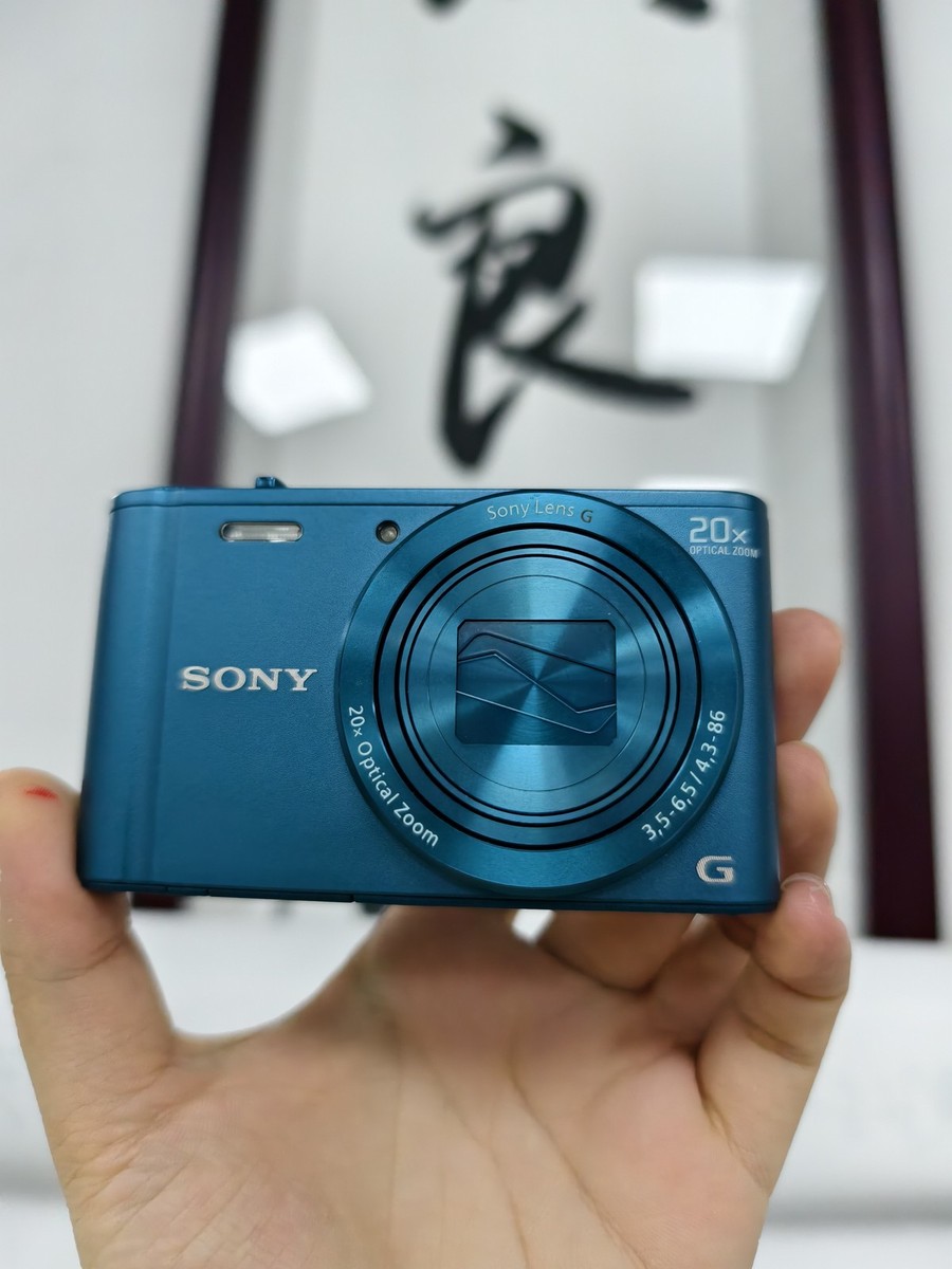 Cyber-shot DSC-WX300 SONY Gシリーズ 20倍ズーム SONY Cyber-shot DSC-WX300 18.2MP 20x Zoom Compact Digital Camera