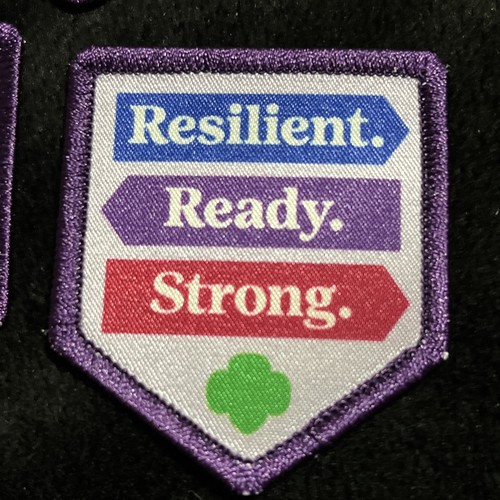Resilient. Ready. Strong. 2.5 Inch Embroidery Patch Lot Of 3 New Scouts - Picture 2 of 4