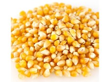 Medium Yellow Bulk Popcorn 3 Pounds Popcorn Kernels Free Shipping