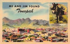 Tonopah Nevada NV Queen of the Silver Camps Donkey Mule Skyline Vtg Postcard E54