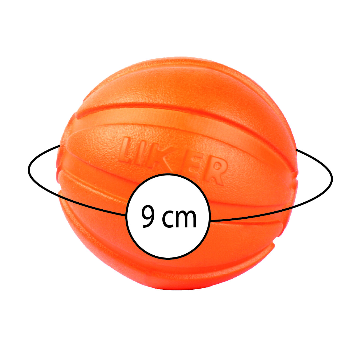 Bild 37 von 37