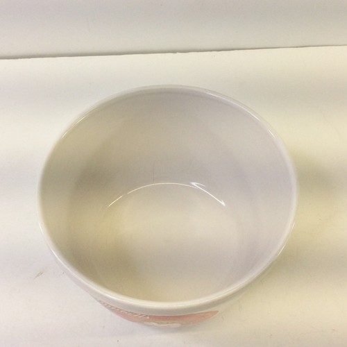Campbell’s Kids 2000 Millennium Houston Harvest White Soup Bowl Cup - Picture 6 of 8