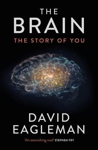 The Brain: The Story of You - Eagleman, David