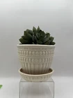 McCoy Pottery Planter W Saucer Vintage Flower Pot Cream Beaded